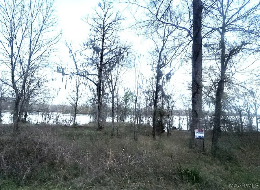 13 Riverview Landing Drive #13, Camden, AL 36726 - #3