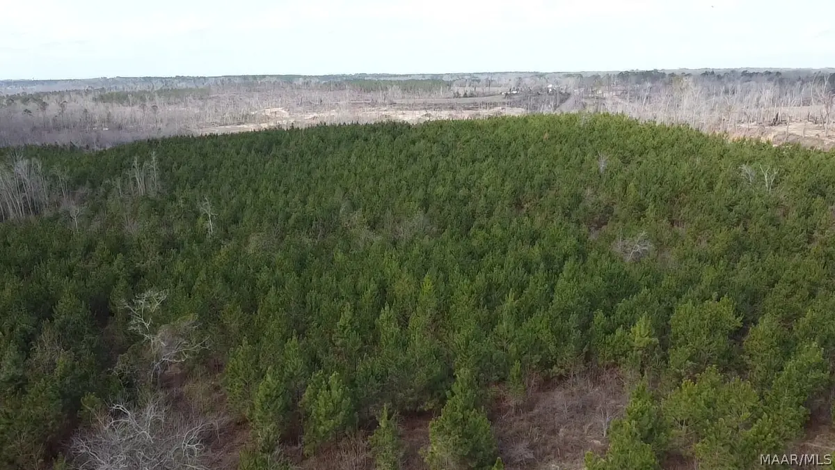 0 Butter And Egg Road, Troy, AL 36081 - #1