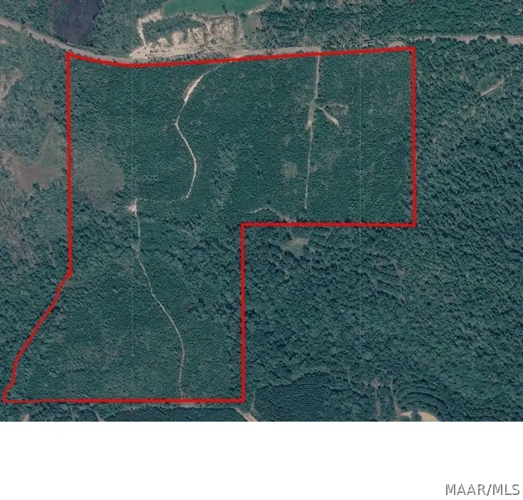 0 Butter And Egg Road, Troy, AL 36081 - #2