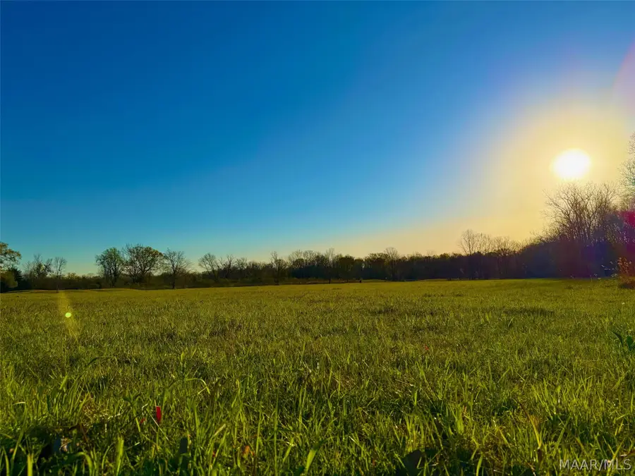 10 Fairway Drive, Pike Road, AL 36064 - #2