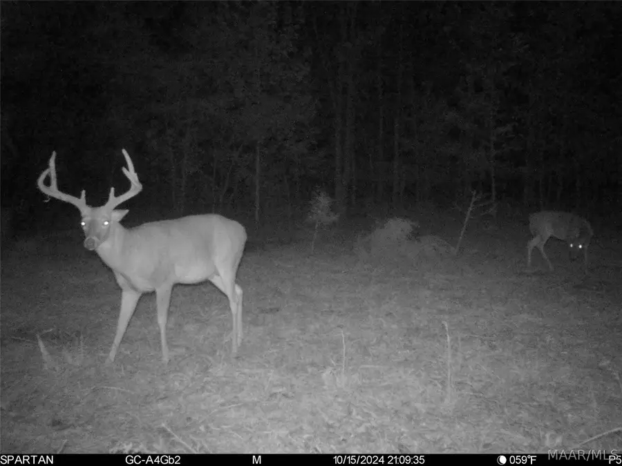 10 Fairway Drive, Pike Road, AL 36064 - #3