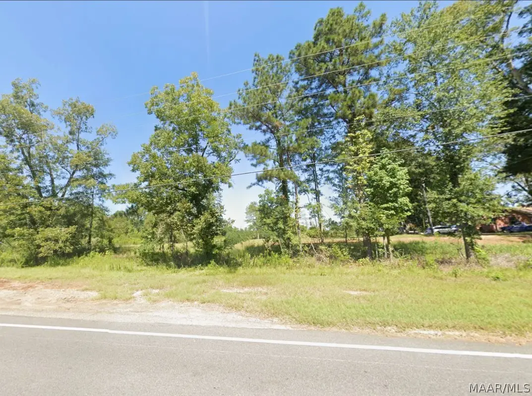 0 Pineapple Highway, Greenville, AL 36037 - #1