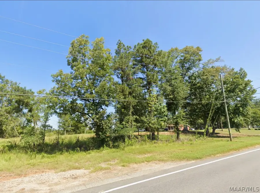 0 Pineapple Highway, Greenville, AL 36037 - #2