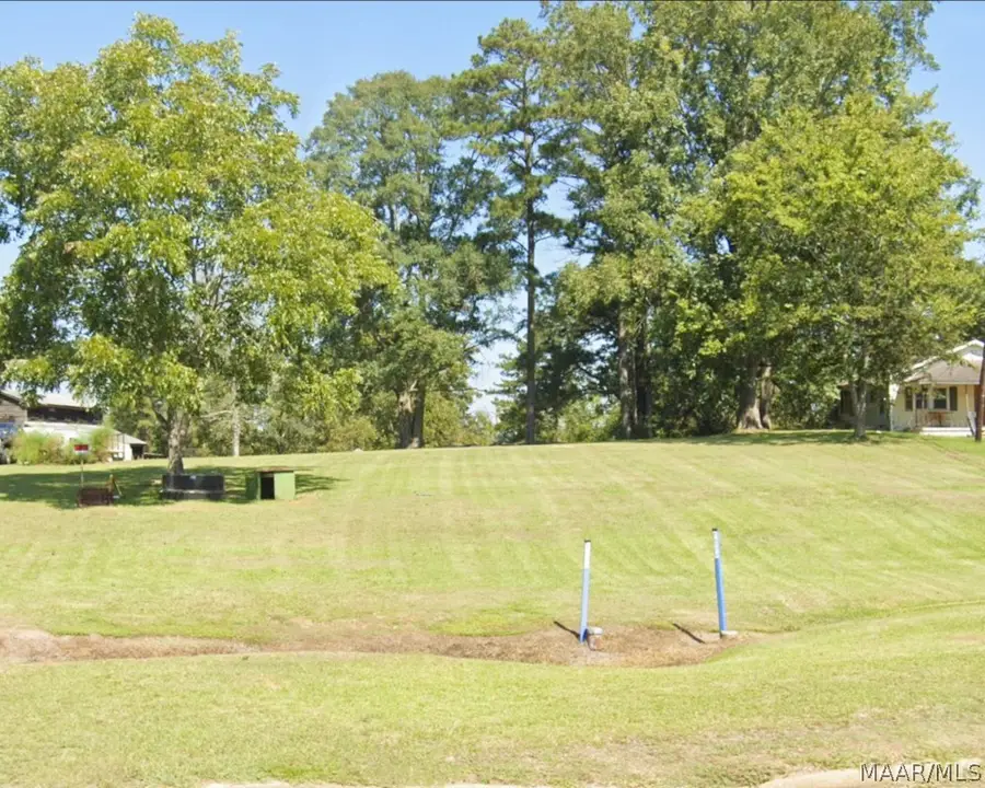 0 Pineapple Highway, Greenville, AL 36037 - #3