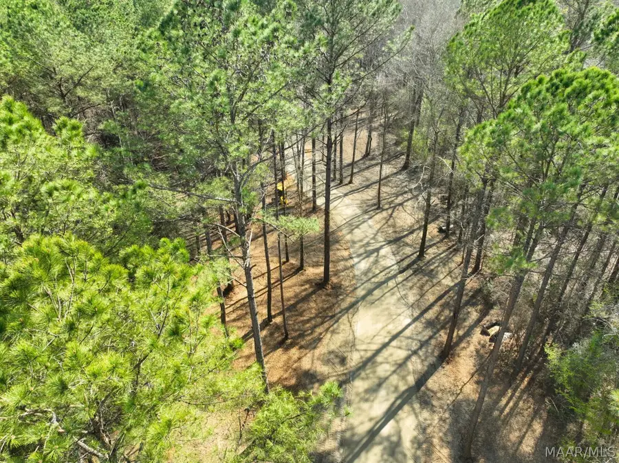 11 Highway 80 Highway, Auburn, AL 36830 - #2