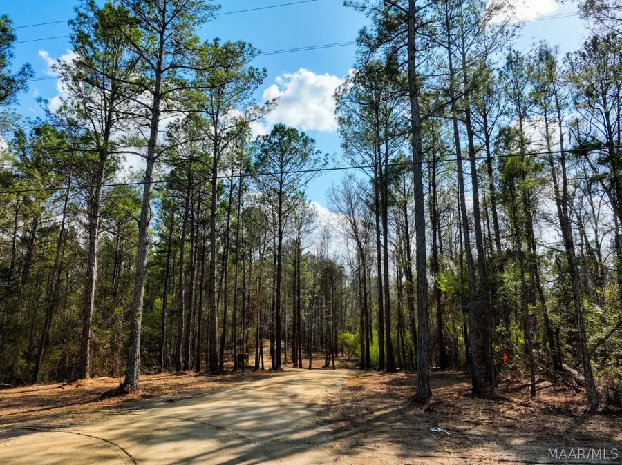 11 Highway 80 Highway, Auburn, AL 36830 - #3