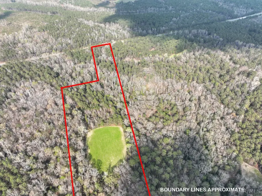 1 Highway 80 Highway, Auburn, AL 36830 - #3