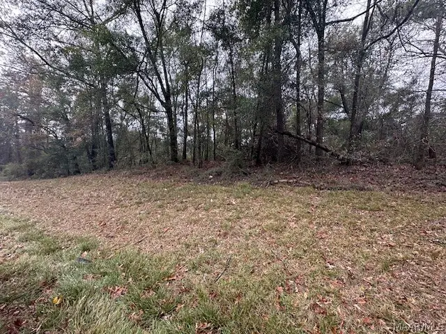 0 Hwy 31, Prattville, AL 36067 - #3