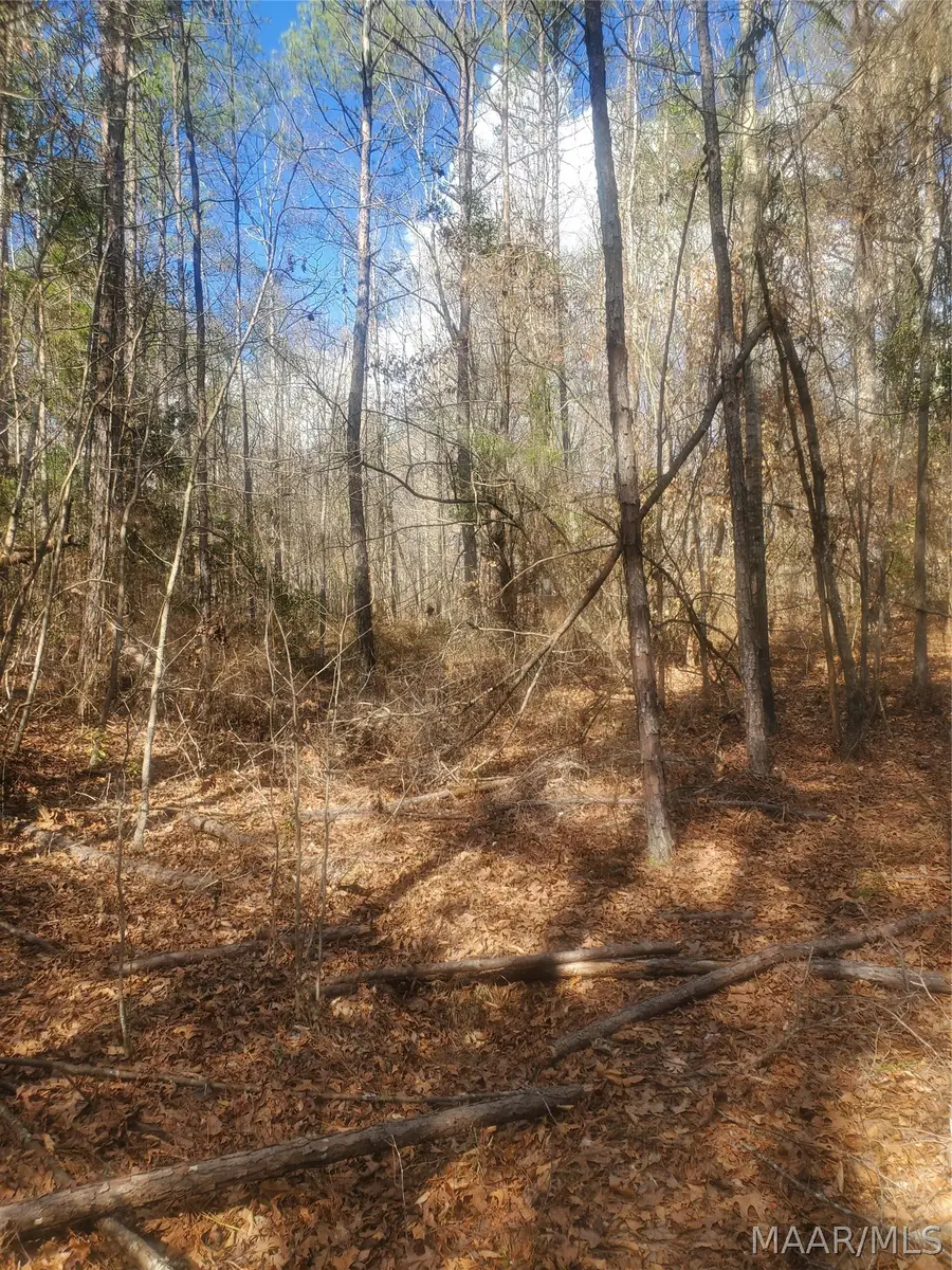 1 Pleasant Hill Road, Gilbertown, AL 36908 - #3