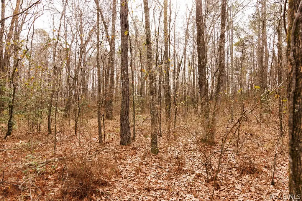 3 Jug Factory Road, Redland, AL 36093 - #1