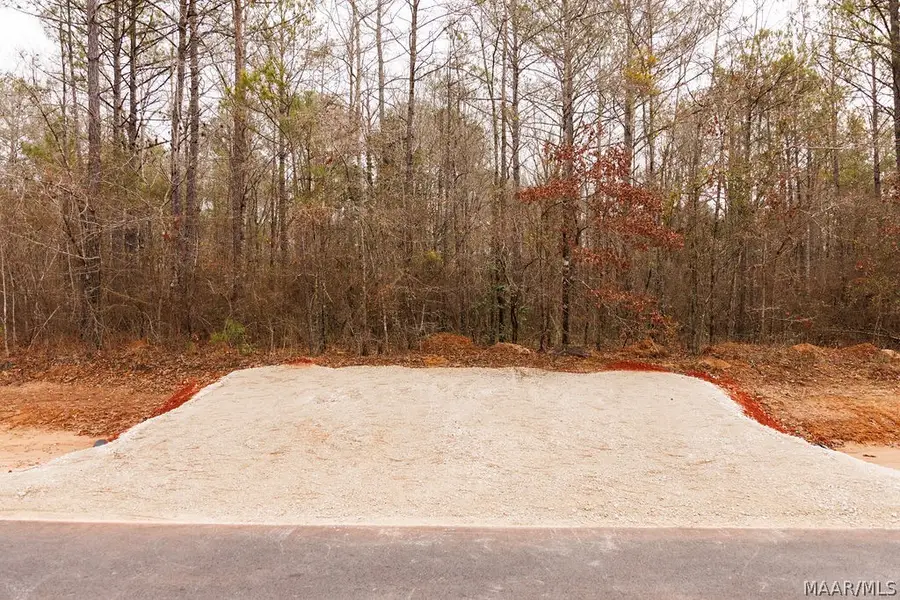 3 Jug Factory Road, Redland, AL 36093 - #2