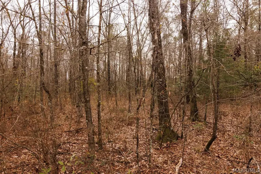 3 Jug Factory Road, Redland, AL 36093 - #3