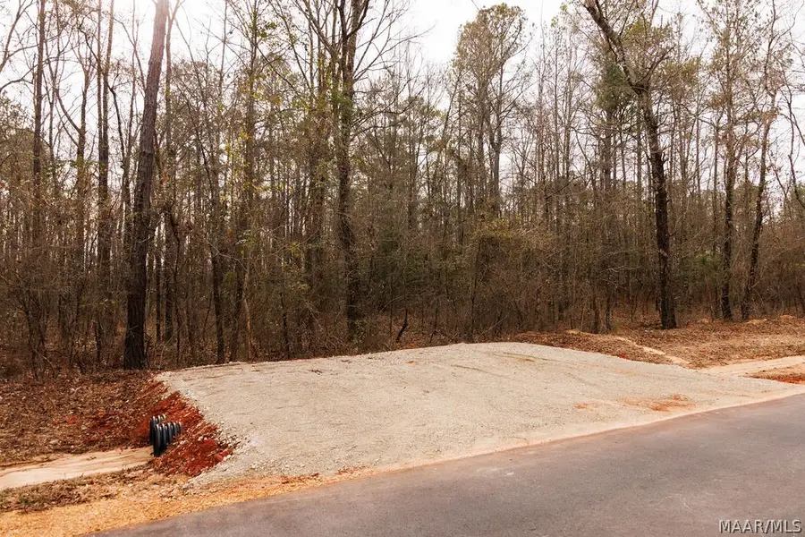 8 Jug Factory Road, Redland, AL 36093 - #2