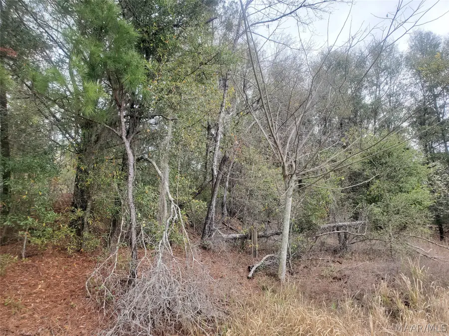 0 Pleasant Hill Road, Gilbertown, AL 36908 - #2