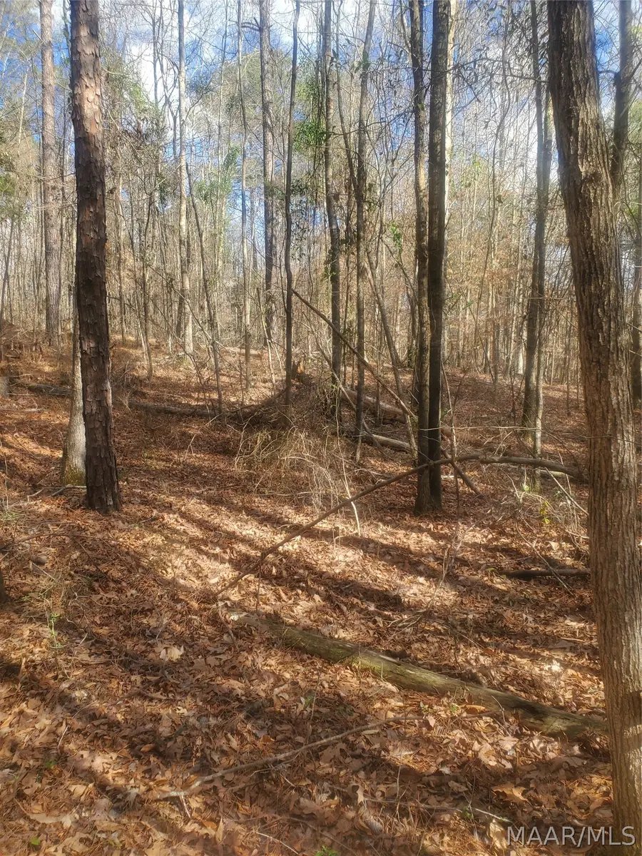 0 Pleasant Hill Road, Gilbertown, AL 36908 - #3