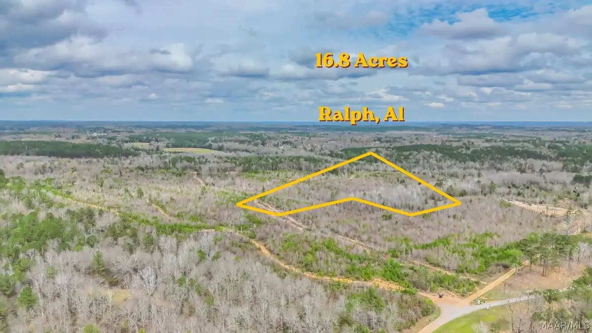0 Brownin Road, Ralph, AL 35480 - #1