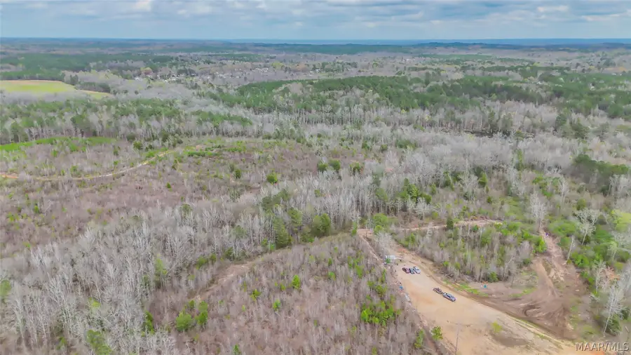 0 Brownin Road, Ralph, AL 35480 - #3