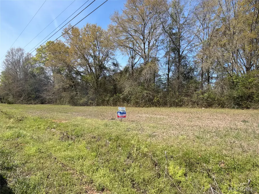 Lot 2 County Road 269 Road, Selma, AL 36701 - #2