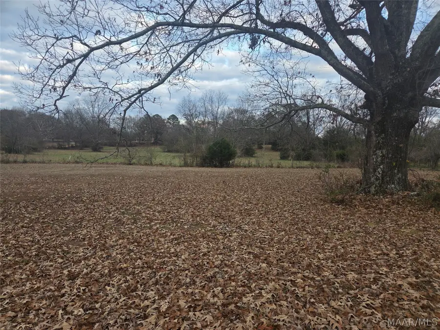 290 Valley Road, Lowndesboro, AL 36752 - #2