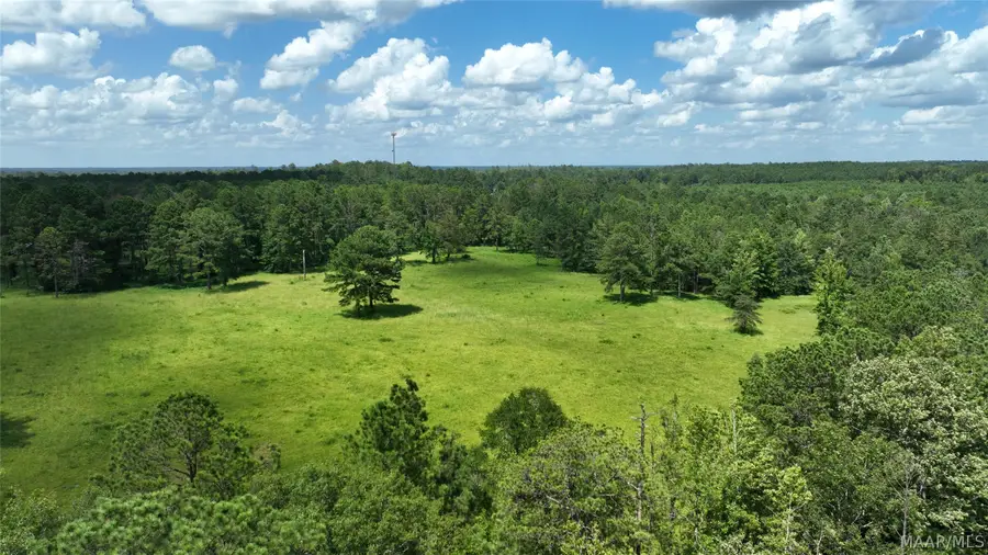 0 S Shackleville Road, Georgiana, AL 36033 - #2