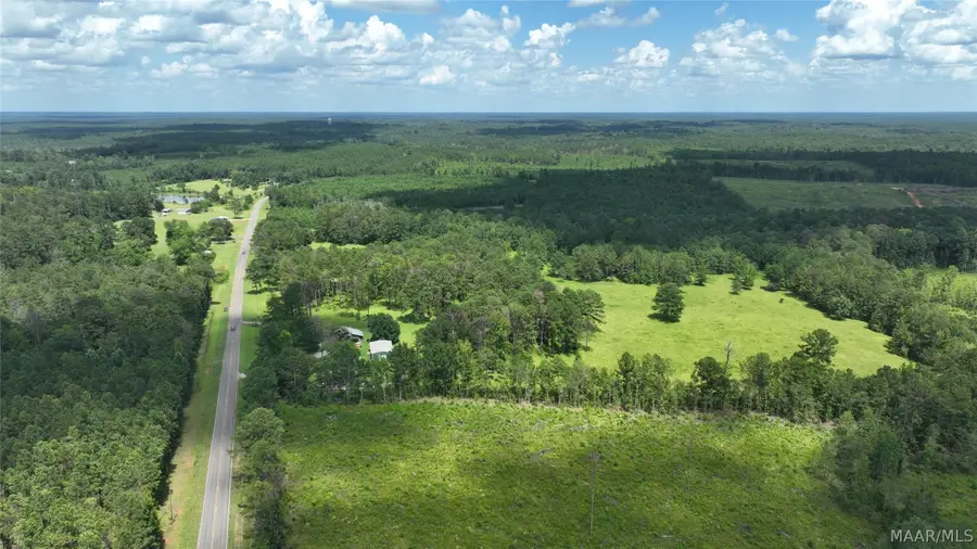 0 S Shackleville Road, Georgiana, AL 36033 - #3