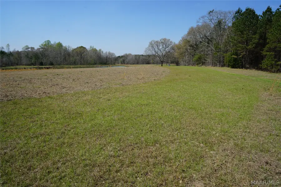 11540 Hobbie Road, Ramer, AL 36069 - #2