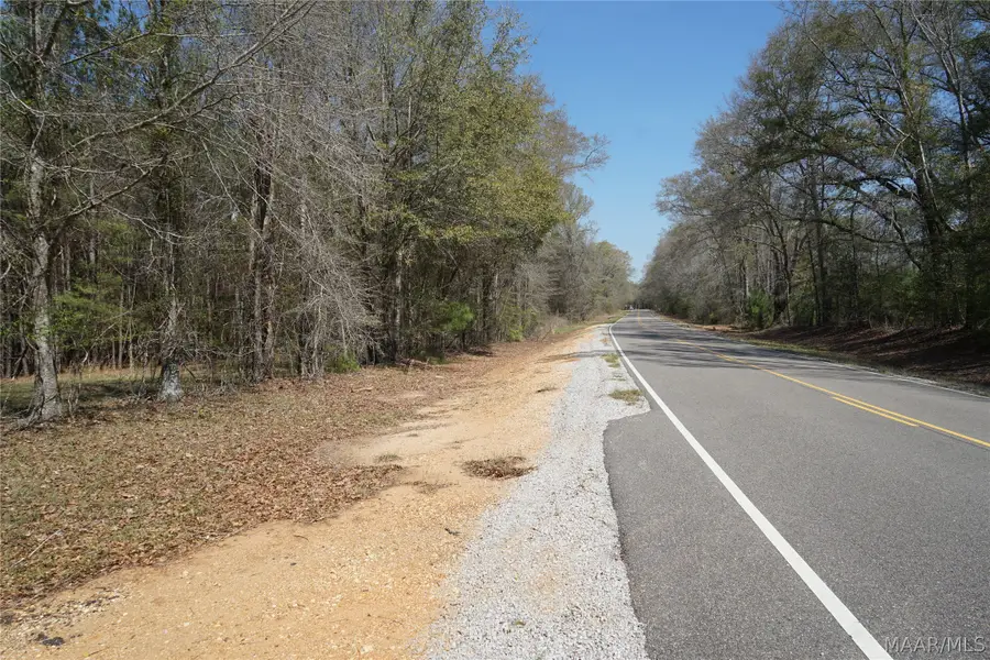 11540 Hobbie Road, Ramer, AL 36069 - #3