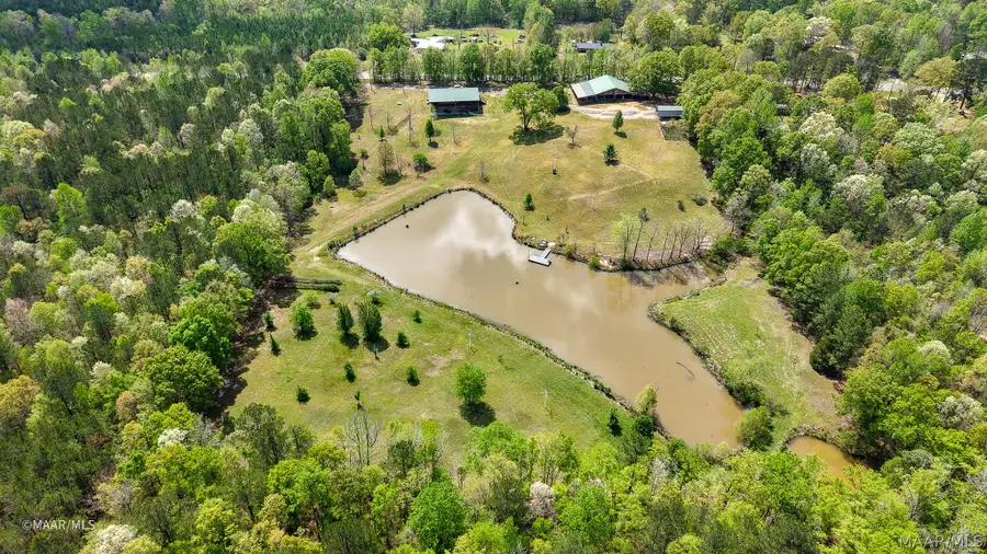 12110 Highway 10 W, Pine Hill, AL 36769 - #3