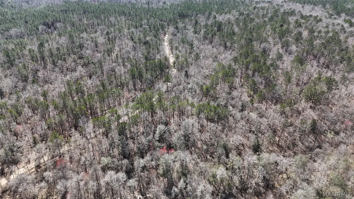 00 Old Meriwether Trail, Lapine, AL 36037 - #1