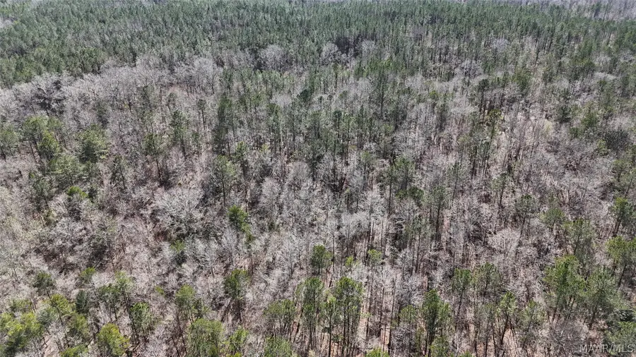 00 Old Meriwether Trail, Lapine, AL 36037 - #3