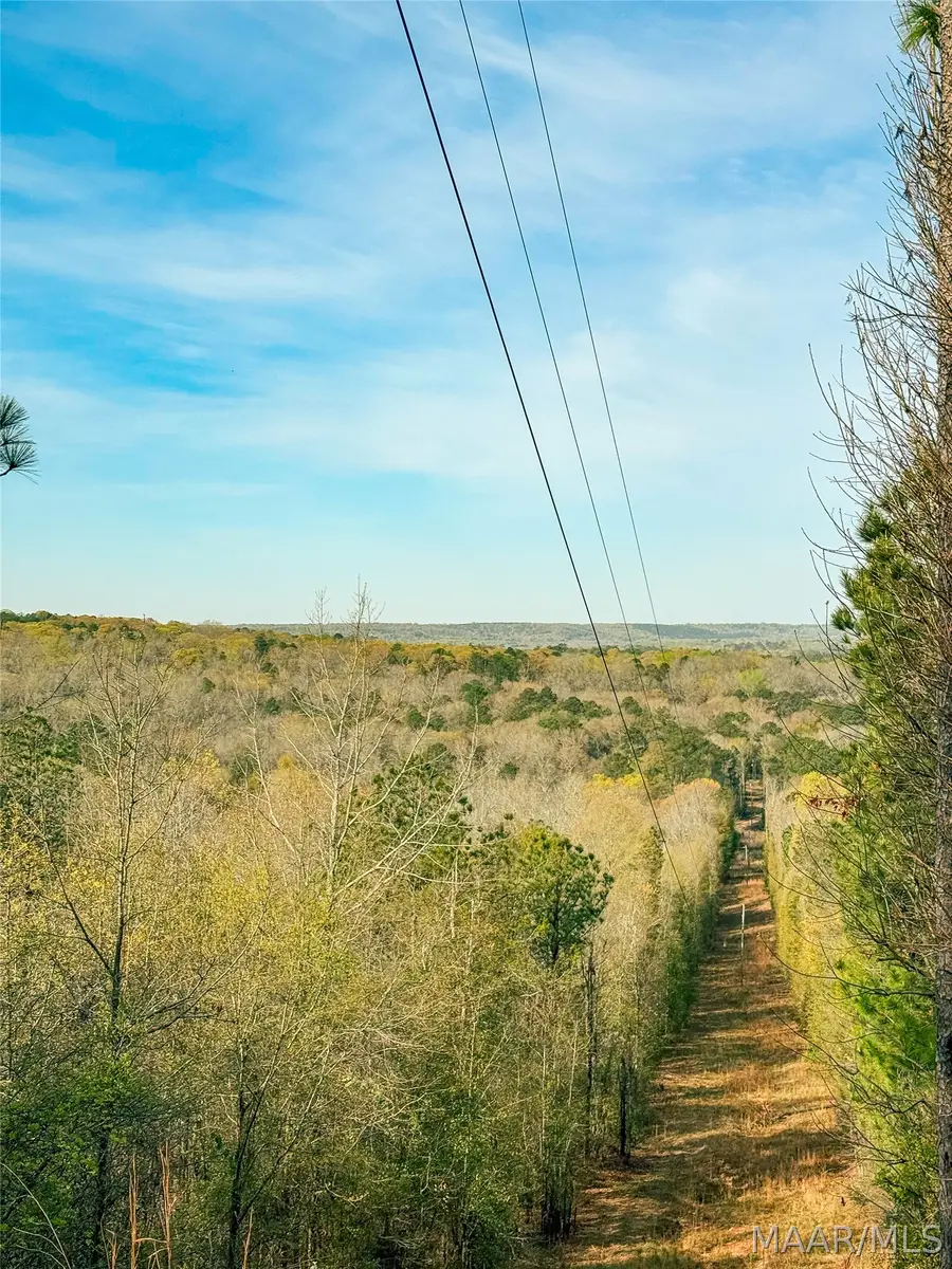 . County Road 59, Prattville, AL 36067 - #3