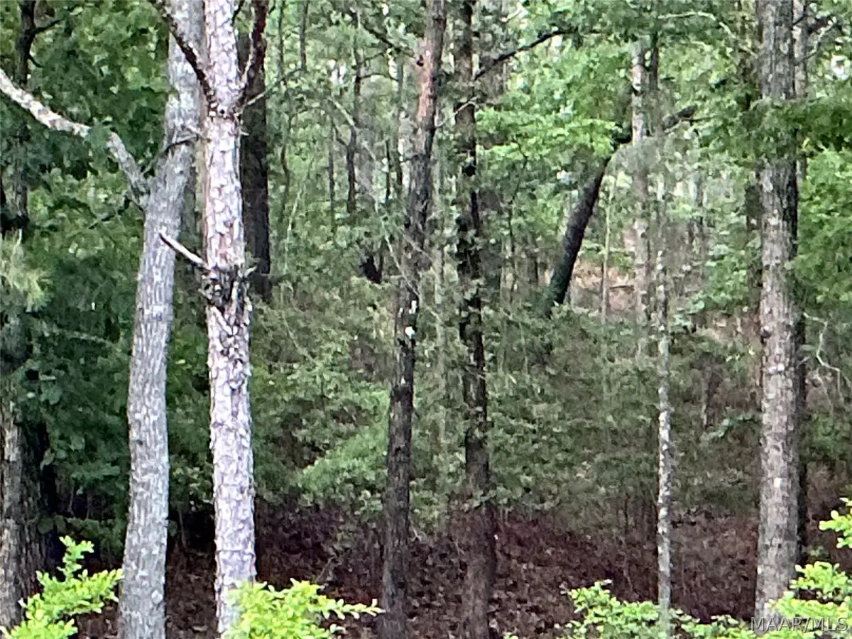 148 Jasmine Ridge Road, Wetumpka, AL 36093 - #1