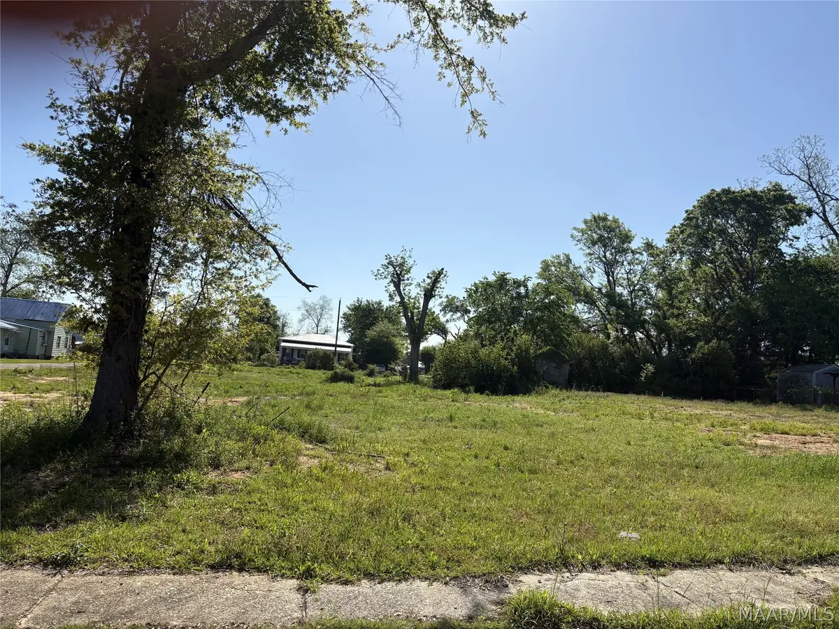 1714 Minter Avenue, Selma, AL 36703 - #1