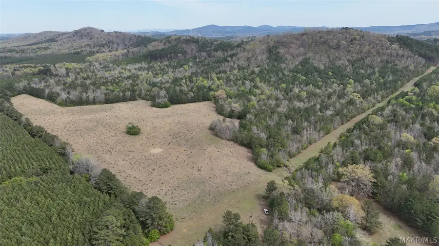 162 County Road 34 Road, Fayetteville, AL 35044 - #3