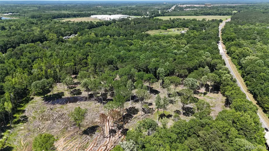 42 Highway 80 Acres, Shorter, AL 36075 - #2