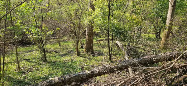 0 Windmill Road, Fairhope, AL 36532