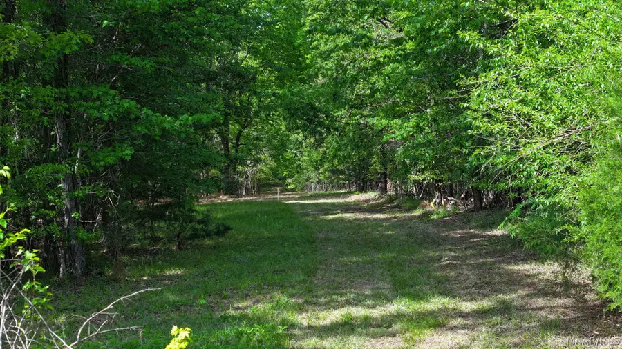 263 Edgewood Court, Mathews, AL 36052 - #2