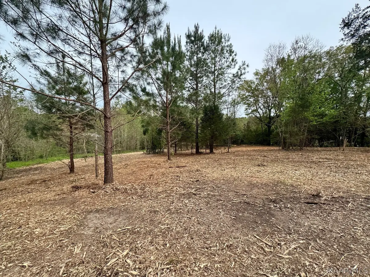 10 Sprague Junction Road W, Ramer, AL 36069 - #1