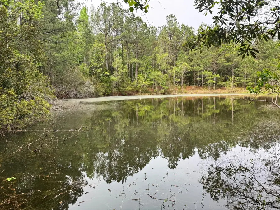 10 Sprague Junction Road W, Ramer, AL 36069 - #2