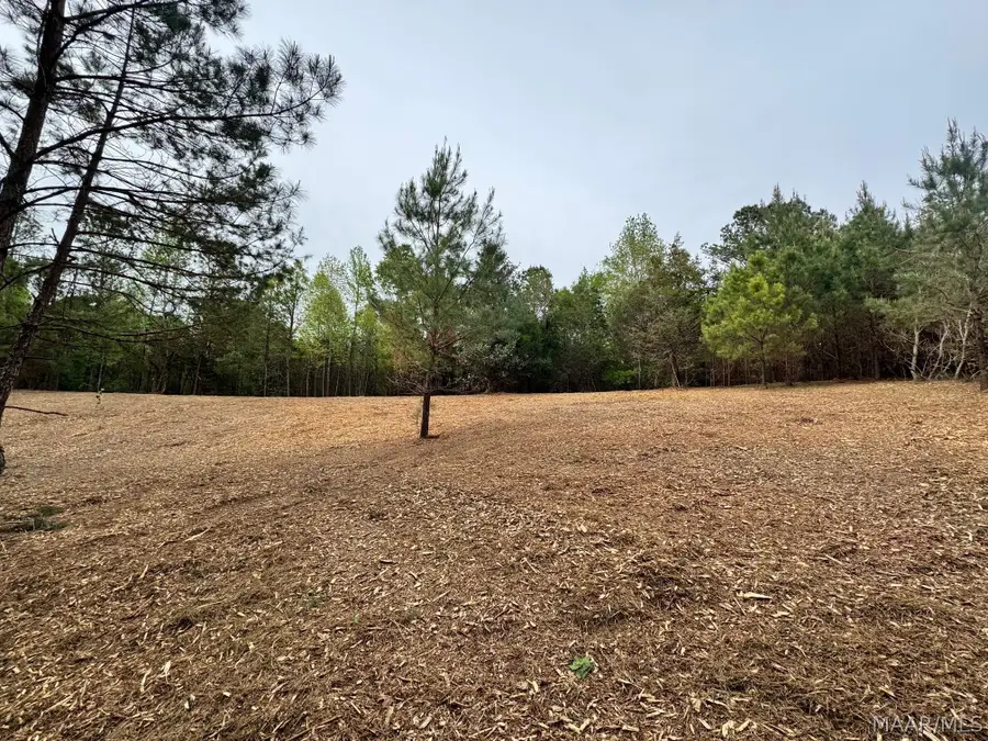 10 Sprague Junction Road W, Ramer, AL 36069 - #3