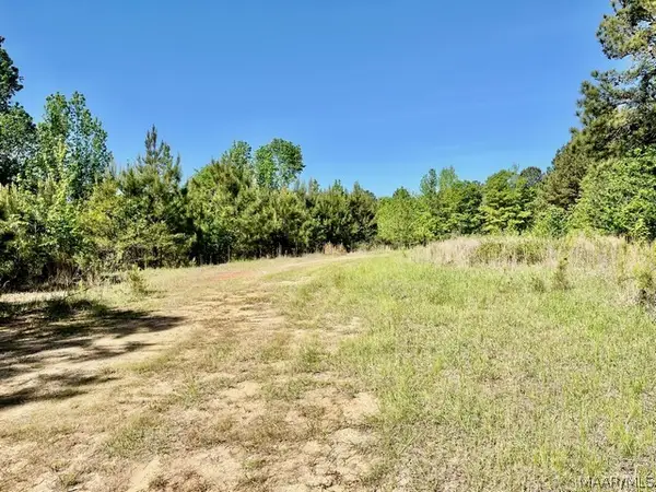 0 Union Road, Eclectic, AL 36024