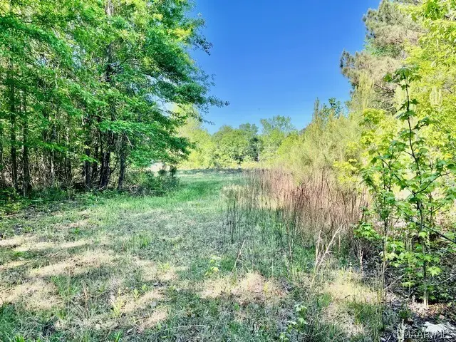 0 Union Road, Eclectic, AL 36024 - #2