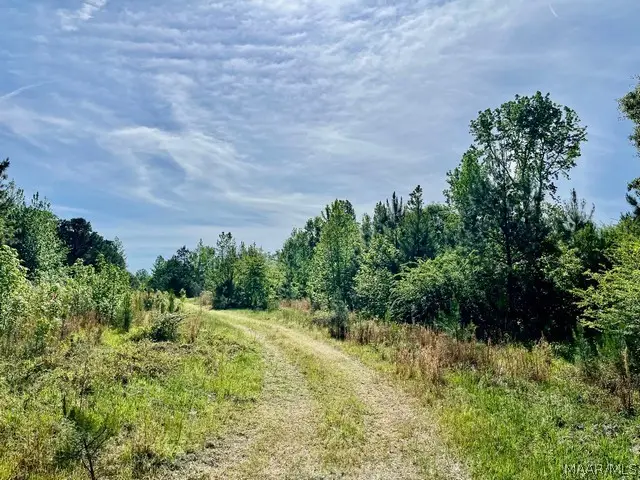 0 Union Road, Eclectic, AL 36024 - #3