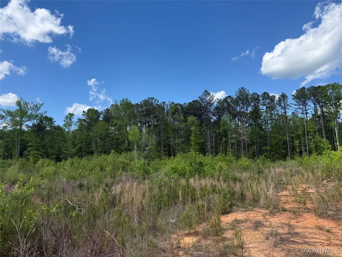 0 County Rd 45 Road, Rockford, AL 35136 - #1