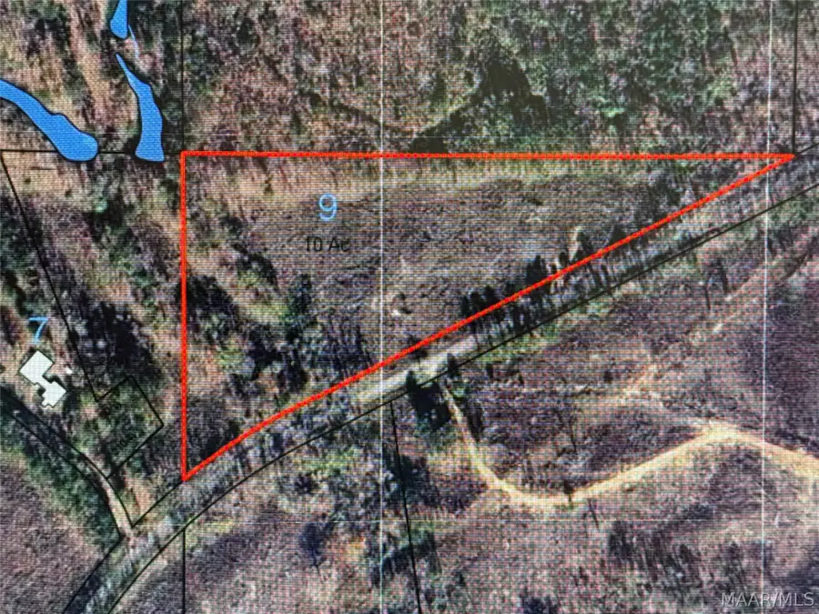 0 County Rd 45 Road, Rockford, AL 35136 - #2