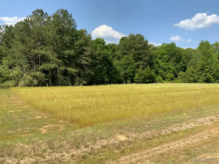 0 County Rd 8 Road, Tuskegee, AL 36083 - #2