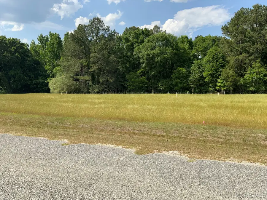 0 County Rd 8 Road, Tuskegee, AL 36083 - #3