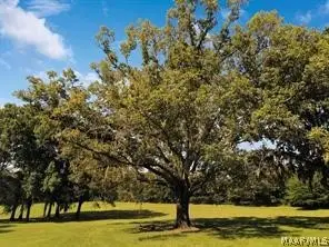 Lot 2 Oak View Drive, Pike Road, AL 36064
