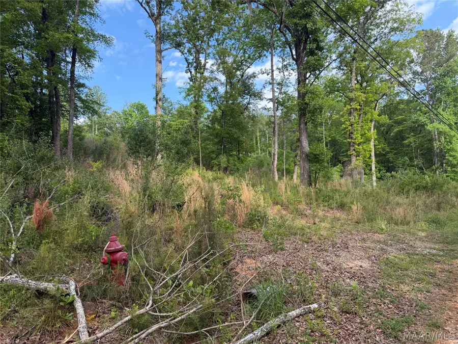 0 Shady Acres Road, Titus, AL 36080 - #2