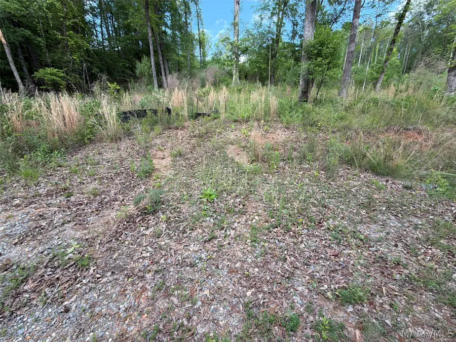 0 Shady Acres Road, Titus, AL 36080 - #3